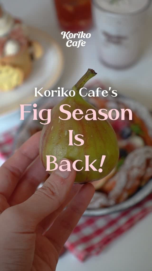 코리코 카페, Koriko Cafe