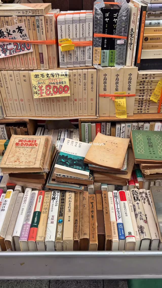 raya, Yaguchi Book Store