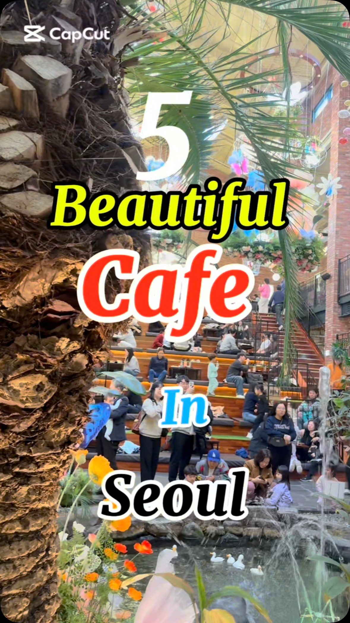Kshitiz in Corea 🇰🇷, Cafe Pokpo