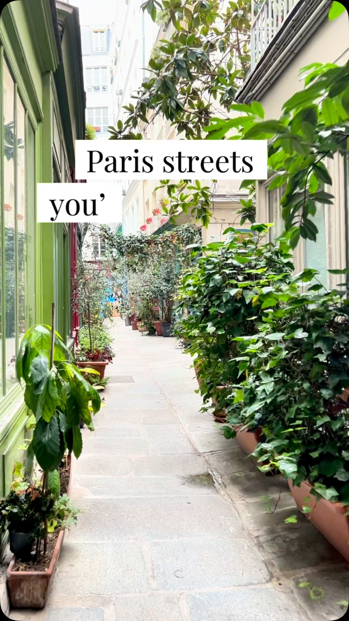 Lena | Paris, Rue Galande