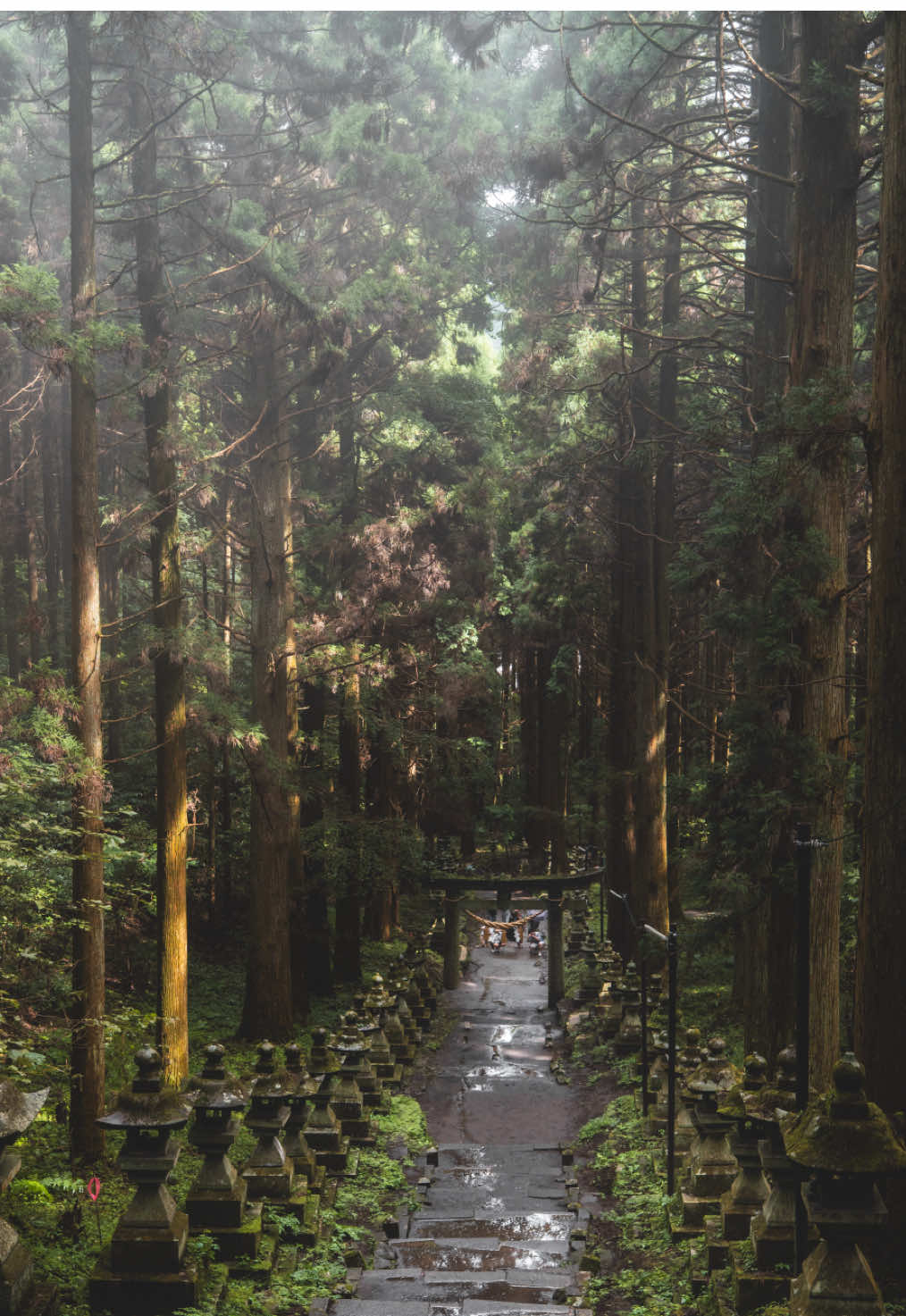 thattravelguy, Kamishikimi Kumanoimasu Shrine