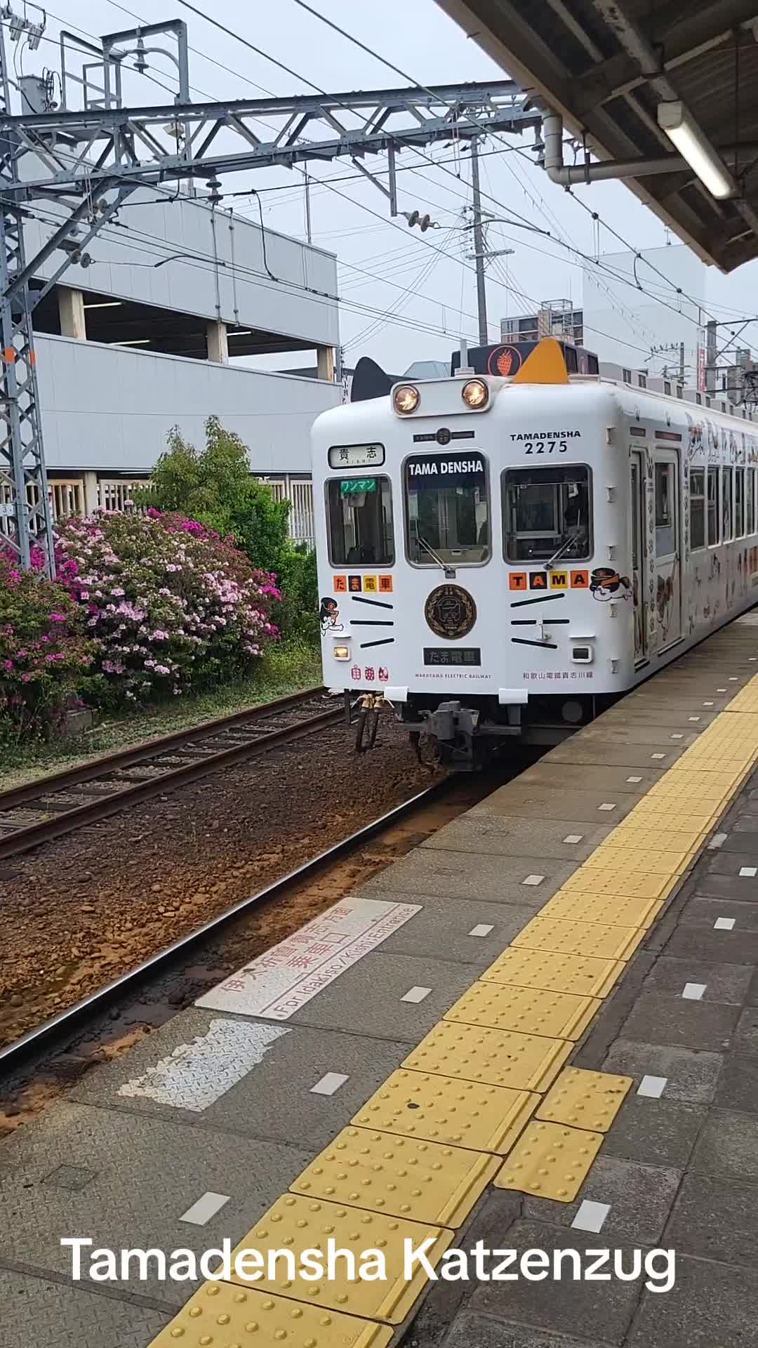 Nippontravelers, Super Station Master Tama (Wakayama Electric Railway)
