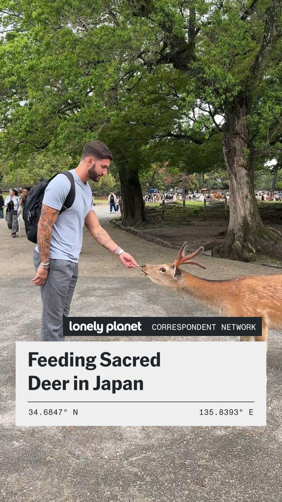 Lonely Planet, Nara Park