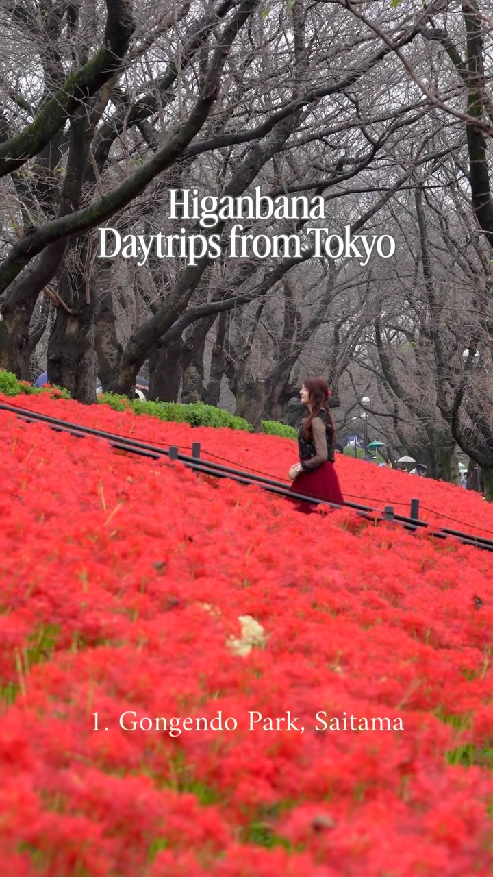Rhiannon | Japan life and Travel, Gongendo Koen 3 Go Park