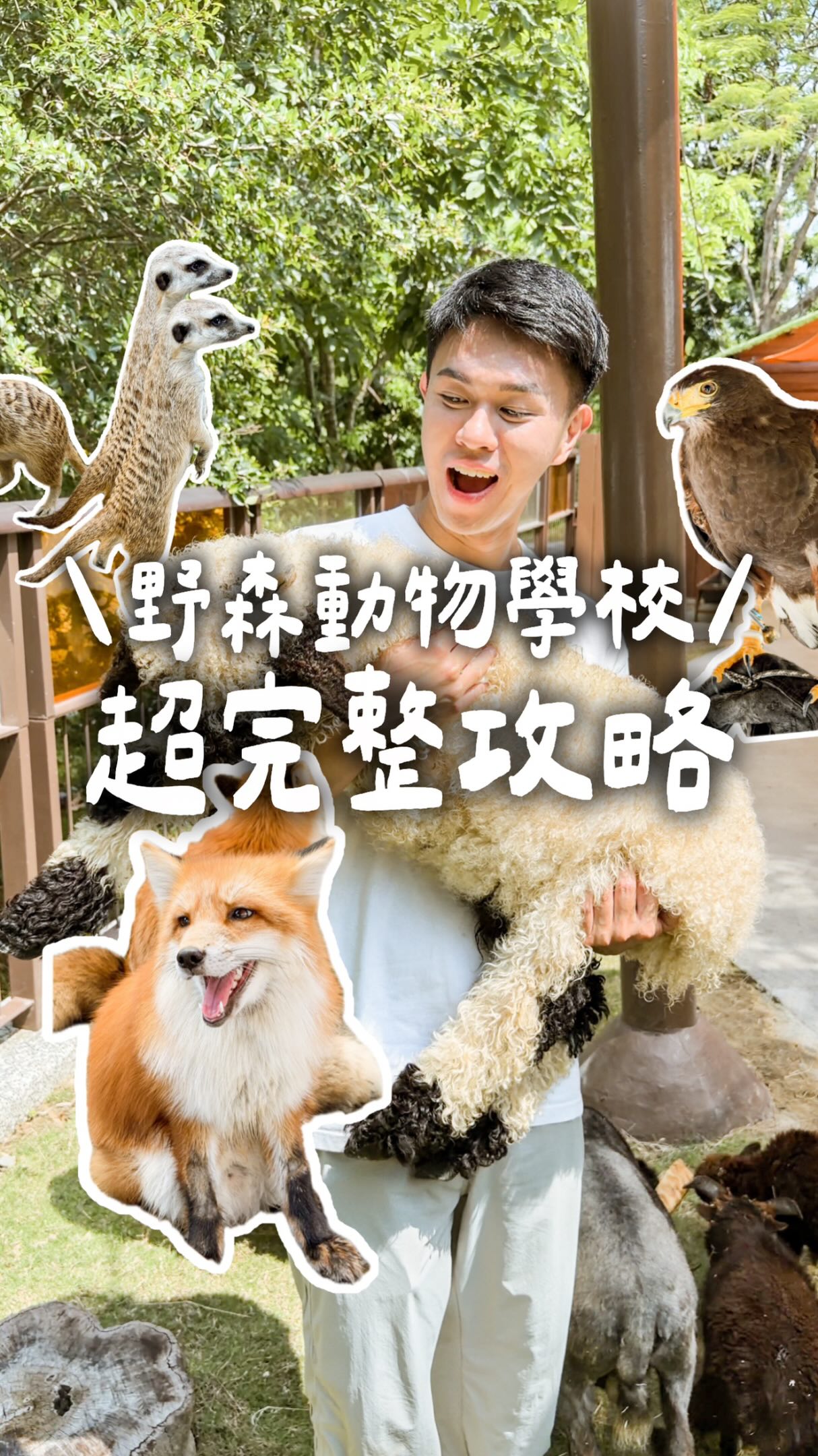 豪吃來吃 ｜高雄 嘉義 台南 台中 美食 旅遊 住宿, 野森動物學校