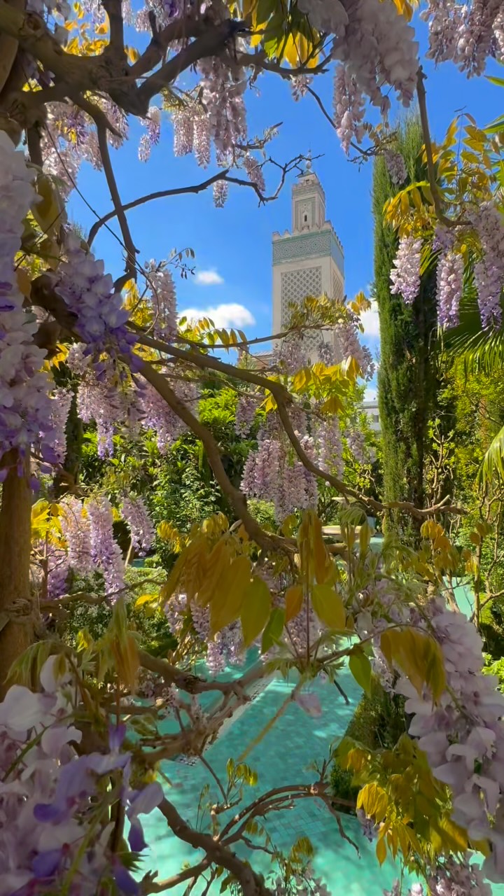 Roza | voyages & lifestyle, Grande Mosquée de Paris