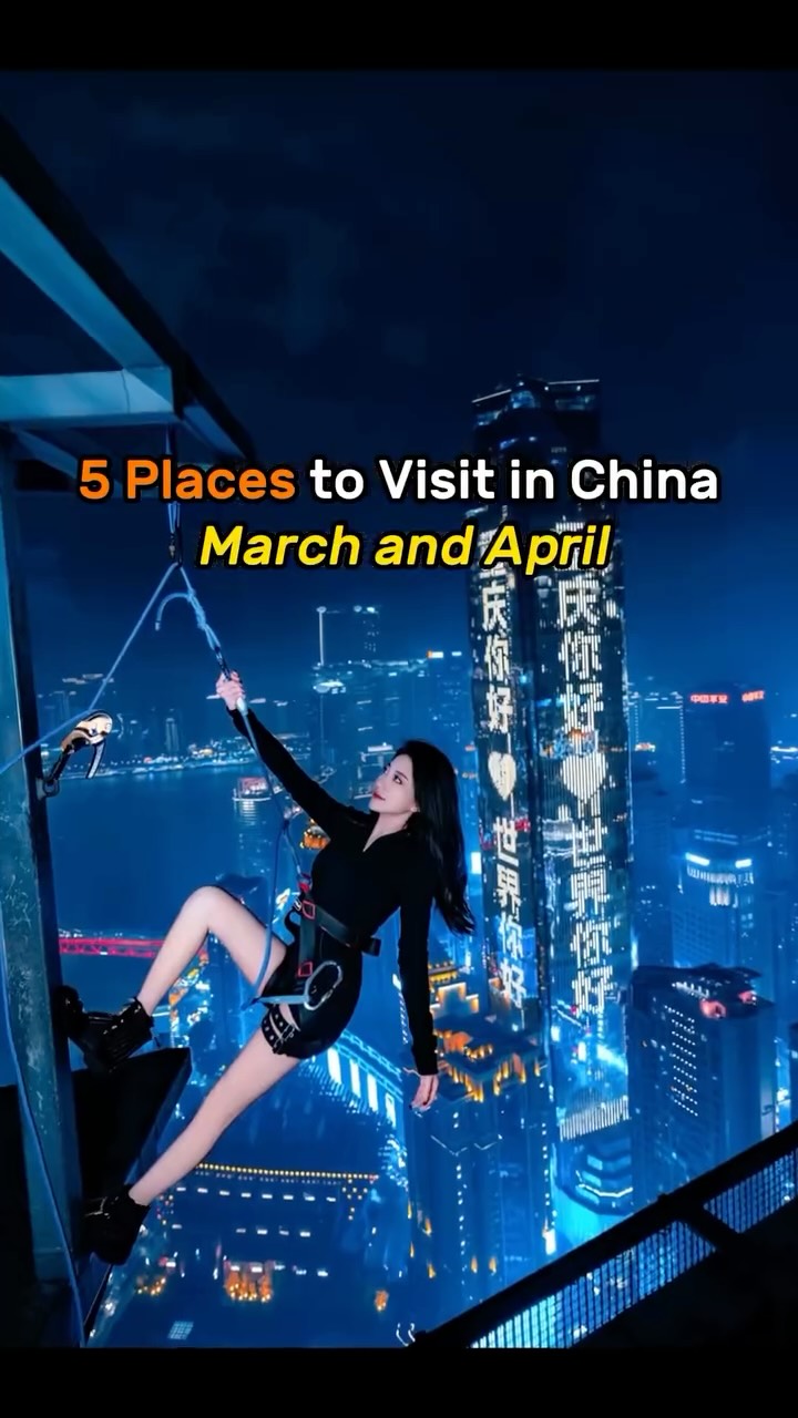 China Travel | Private & Group, Shanghai