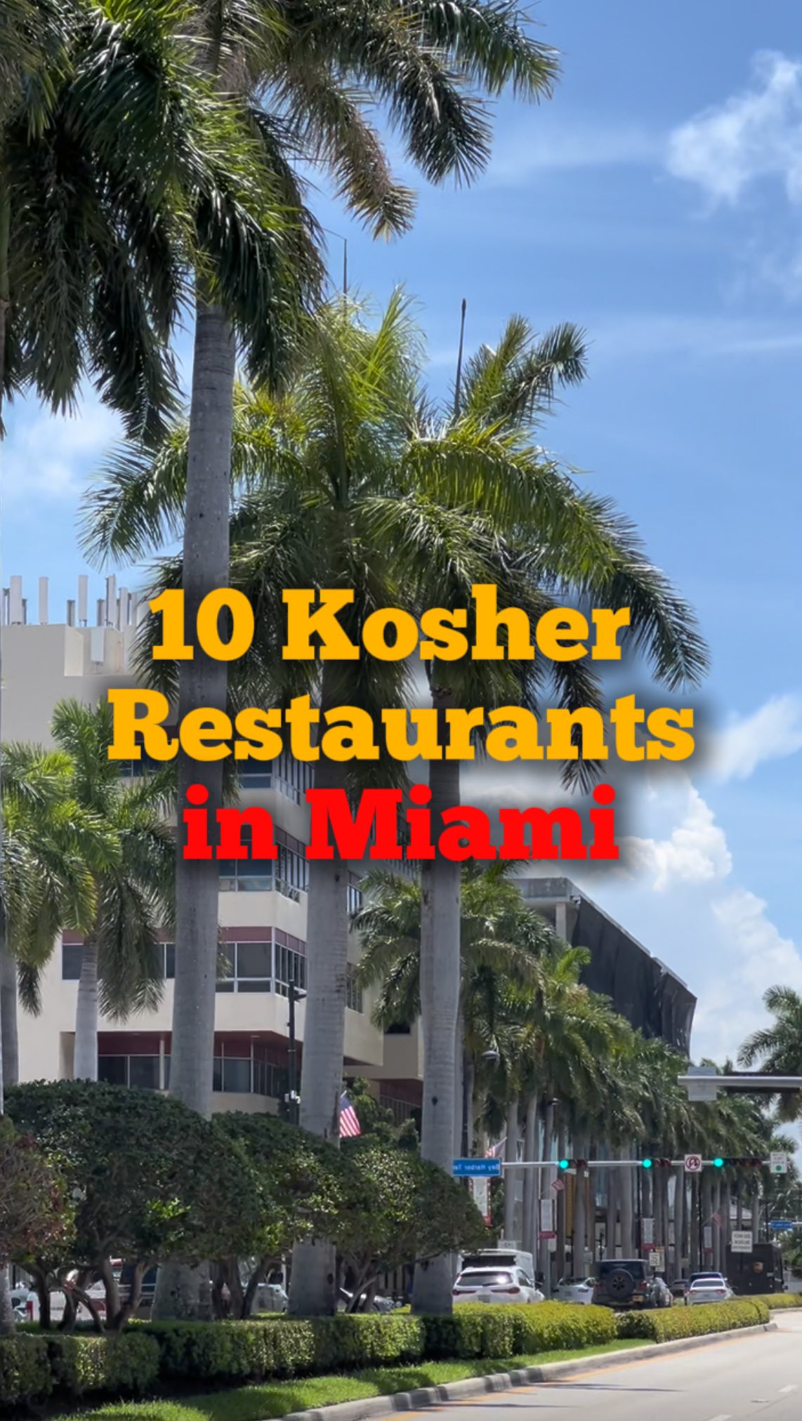 Kosher Restaurant Reviews | Eliyahu, Hikari