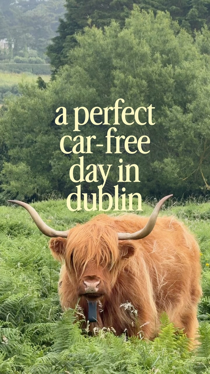 Eva Seeks | Irish Travel Content Creator, The Bloody Stream