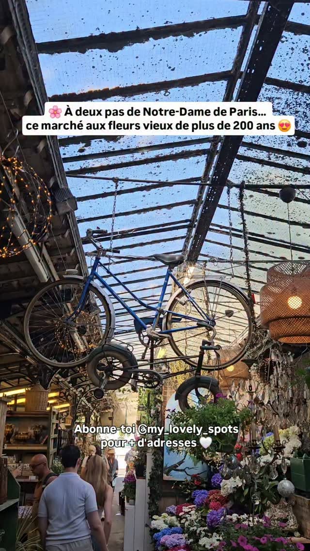 Facebook, Cathédrale Notre-Dame de Paris