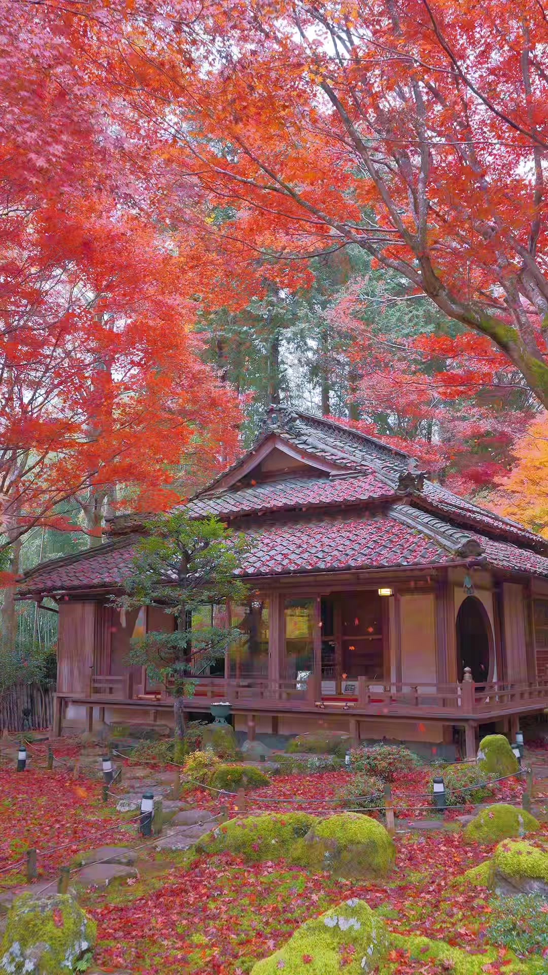 HiRO【日本の絶景】🇯🇵, Nara