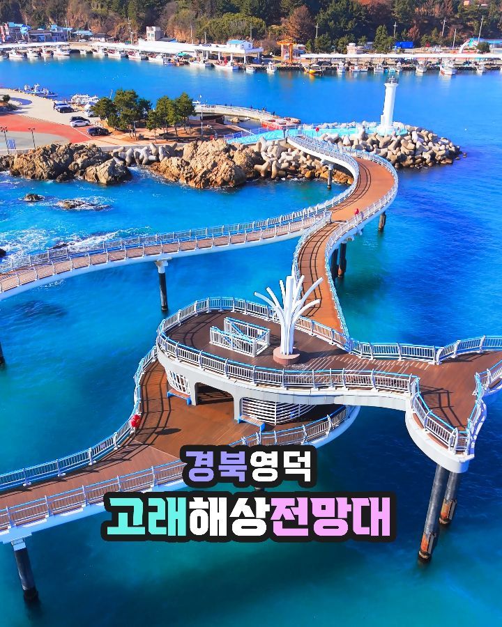 포레스트 필름, 고래불해수욕장