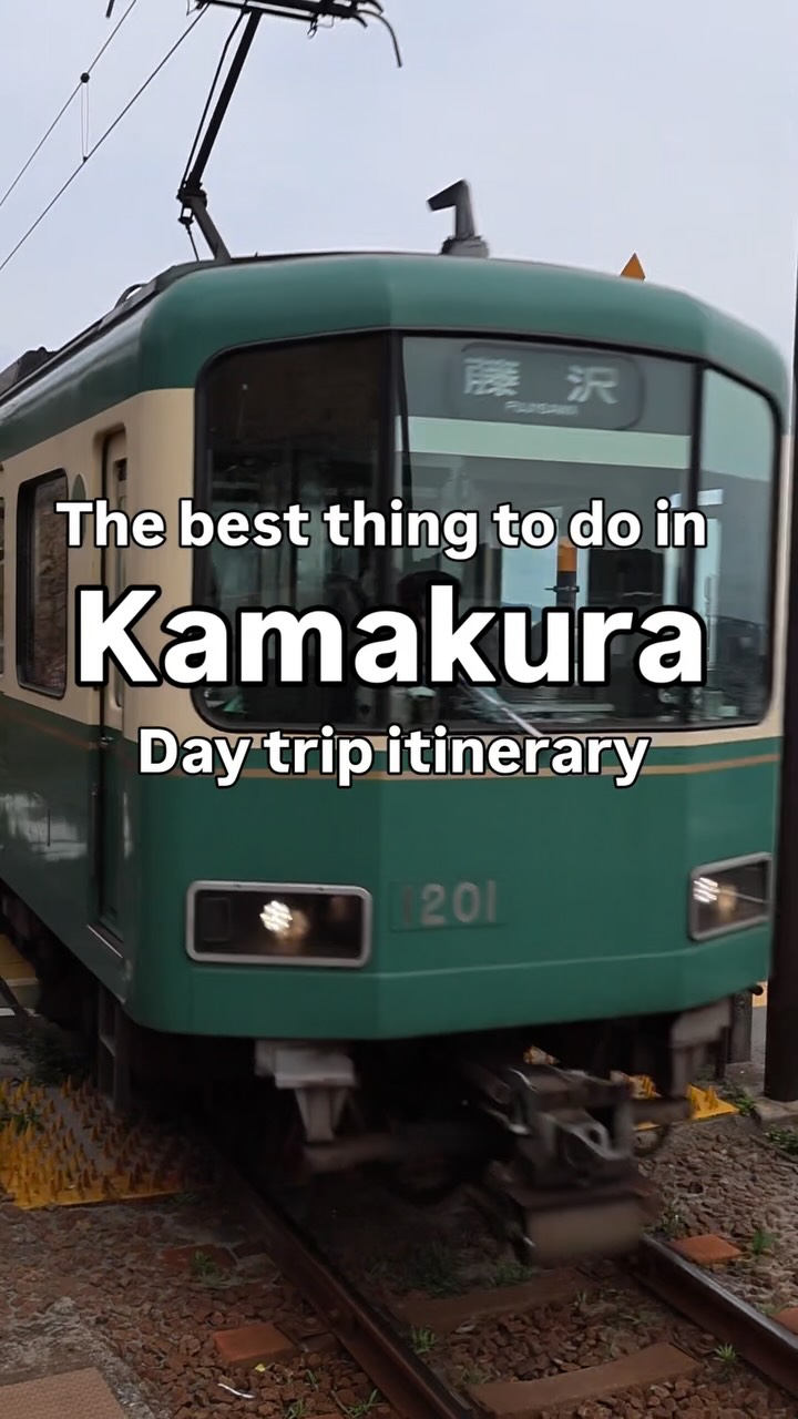 Find “SUGOI” | Japan Tours, Tsurugaoka Hachimangu