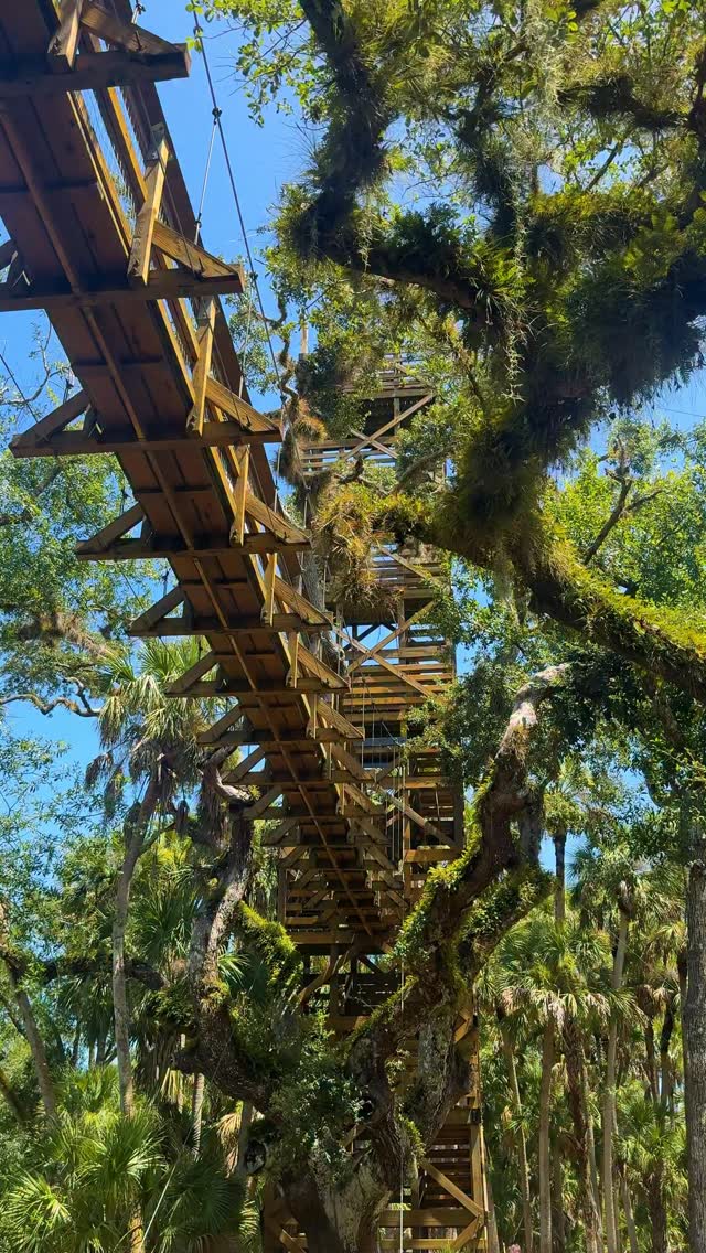 Codie N Drew | Food, Travel & Hidden Gems, Myakka River State Park