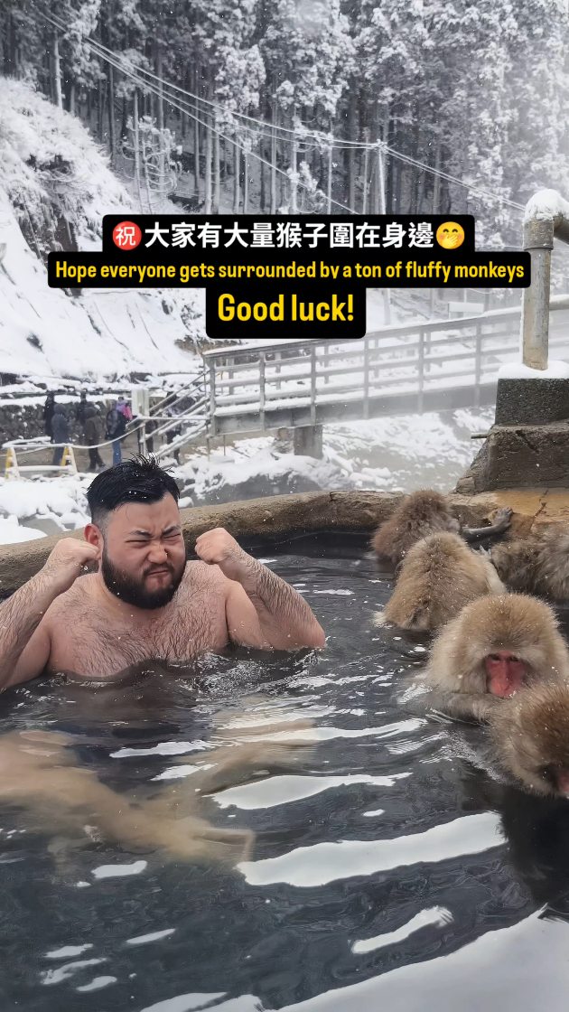 Felix the Boss, Snow Monkey Park (Jigokudani Yaen Koen)