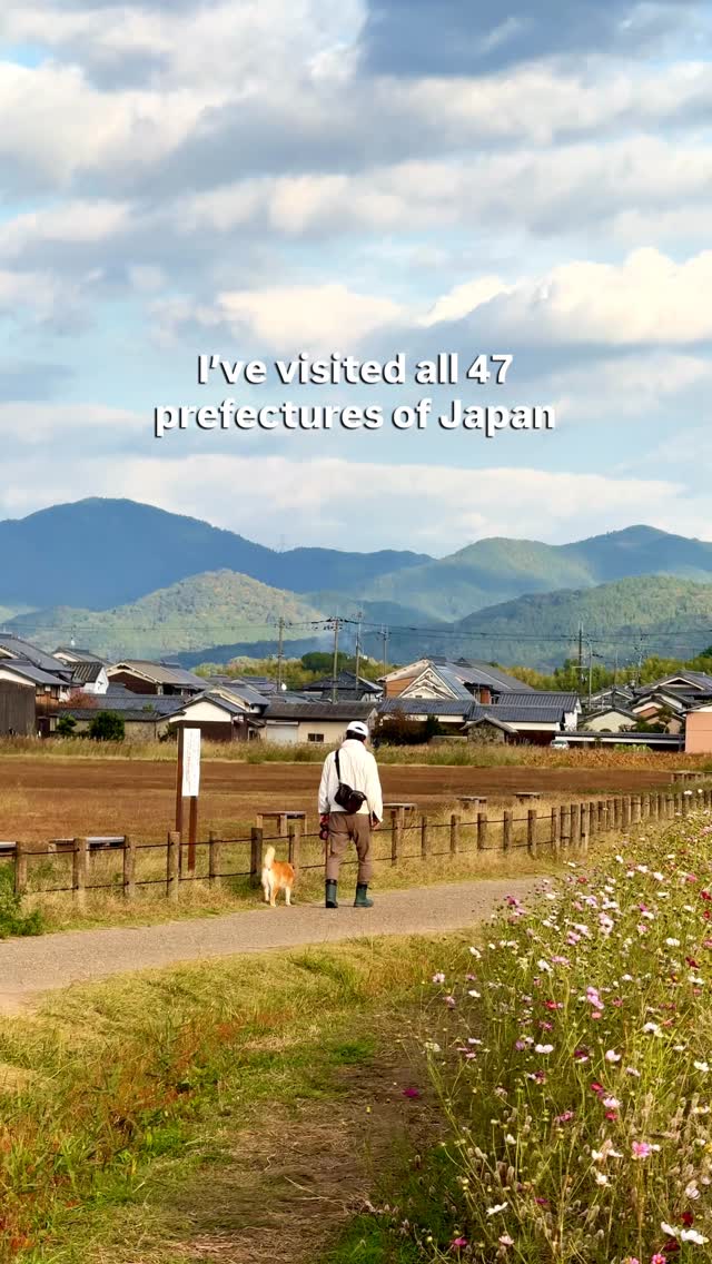 Kristina Minami • Inner Japan, Nara Park