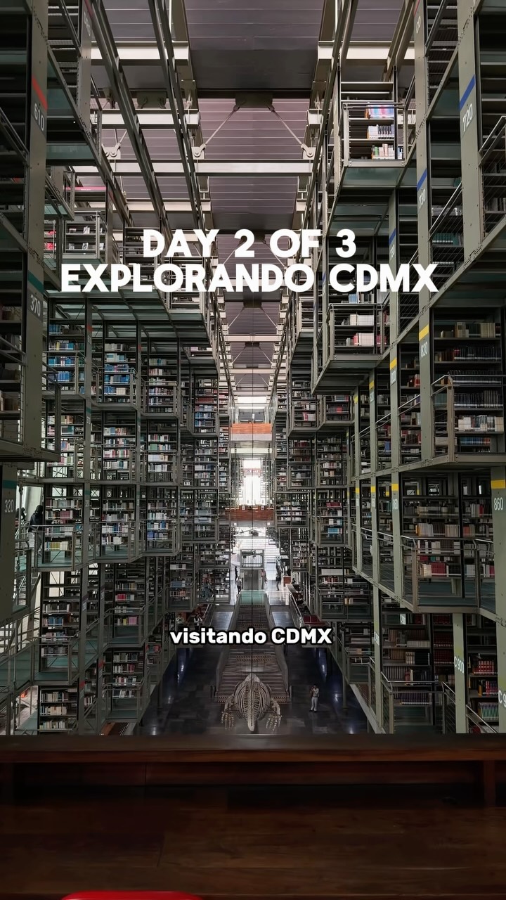Juan David, Biblioteca Vasconcelos