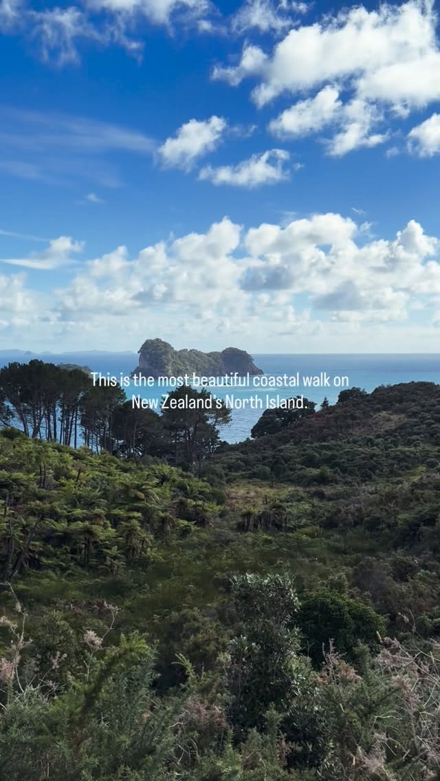 Family Travel & Adventurous Kids, Te Whanganui-A-Hei (Cathedral Cove) Marine Reserve