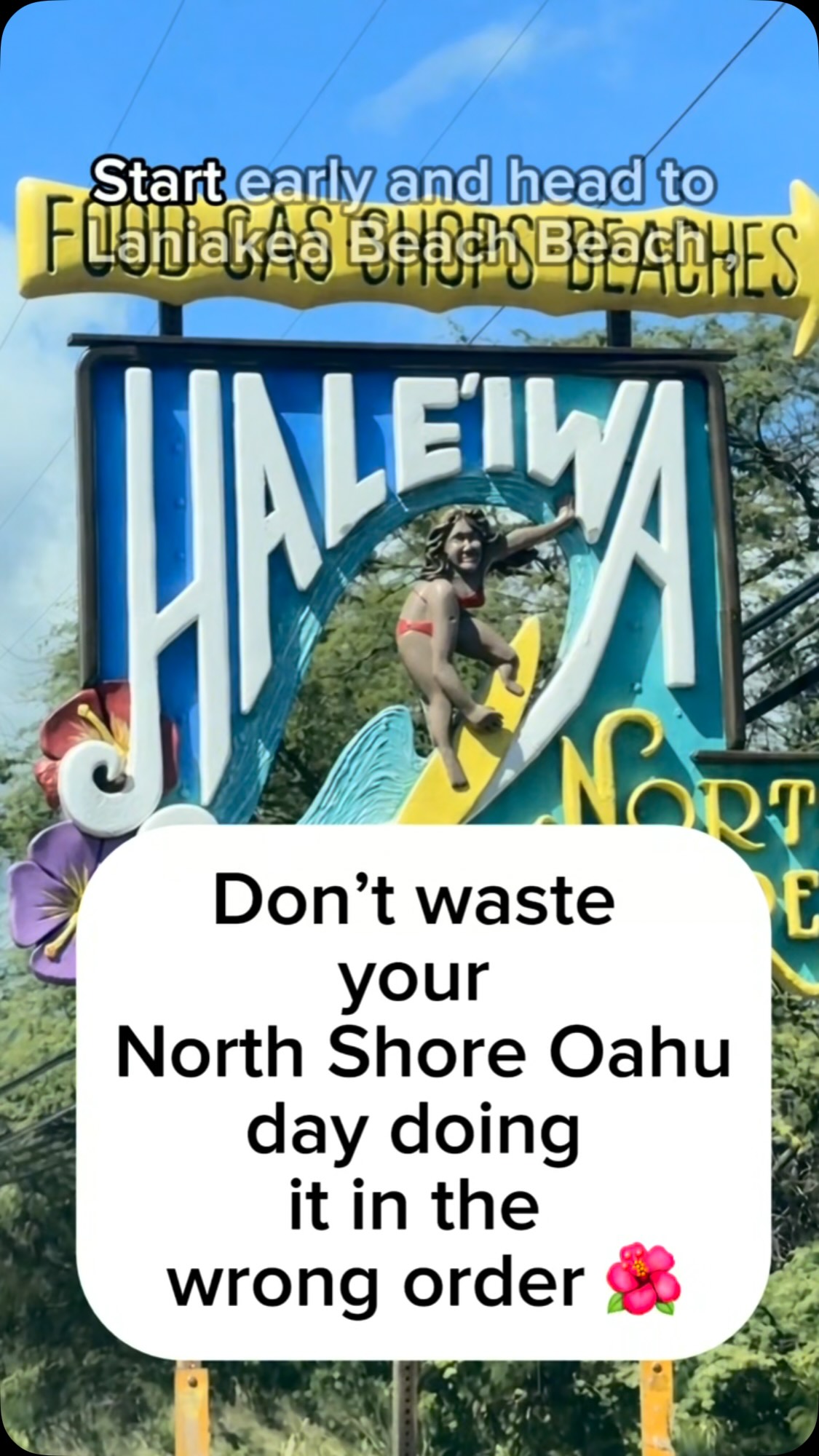 Aloha Clips, Haleiwa