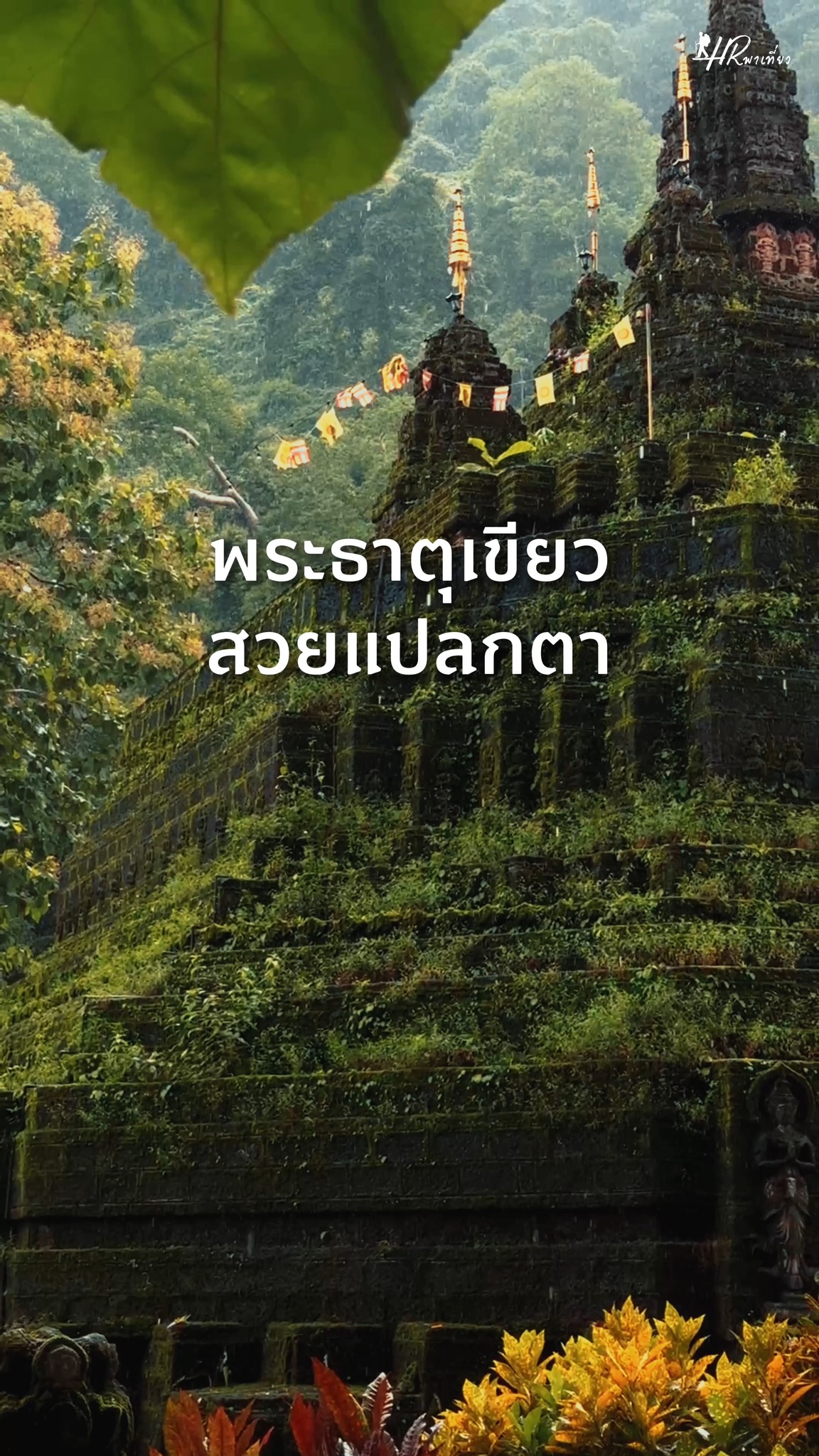 HR พาเที่ยว, Wat Tham Pla (Fish Cave Temple)