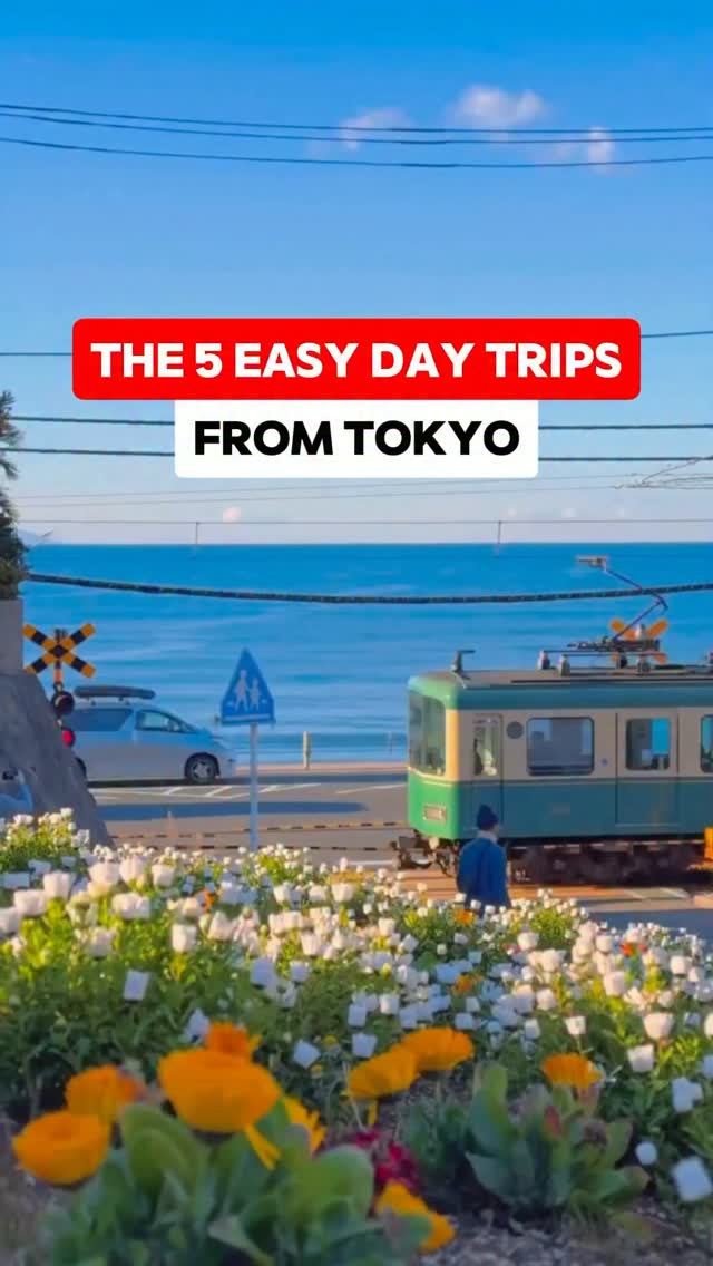 Umetravel, Mount Fuji
