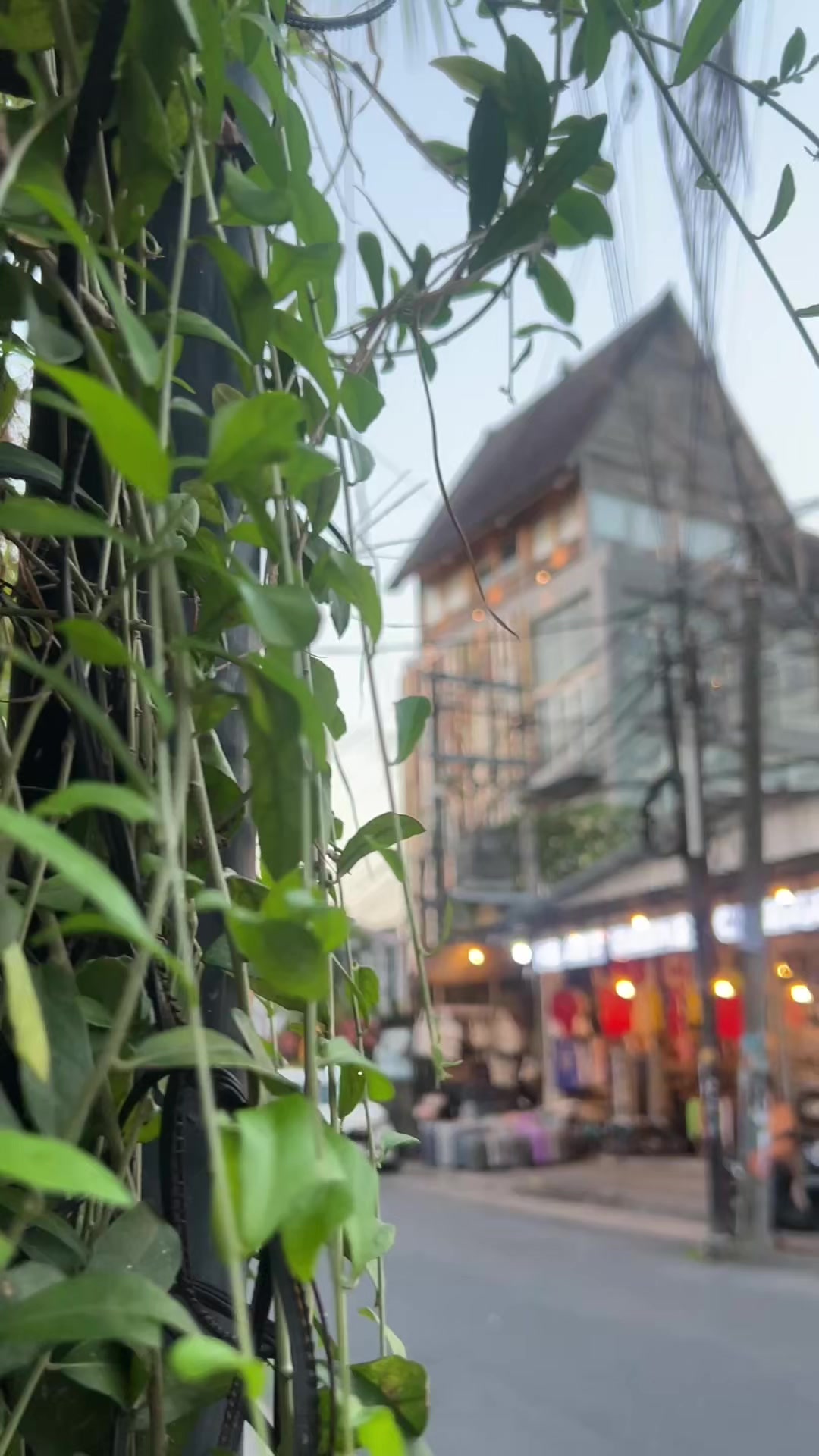 Review Hotel Bali Sesuai Fakta, Batu Bolong Beach