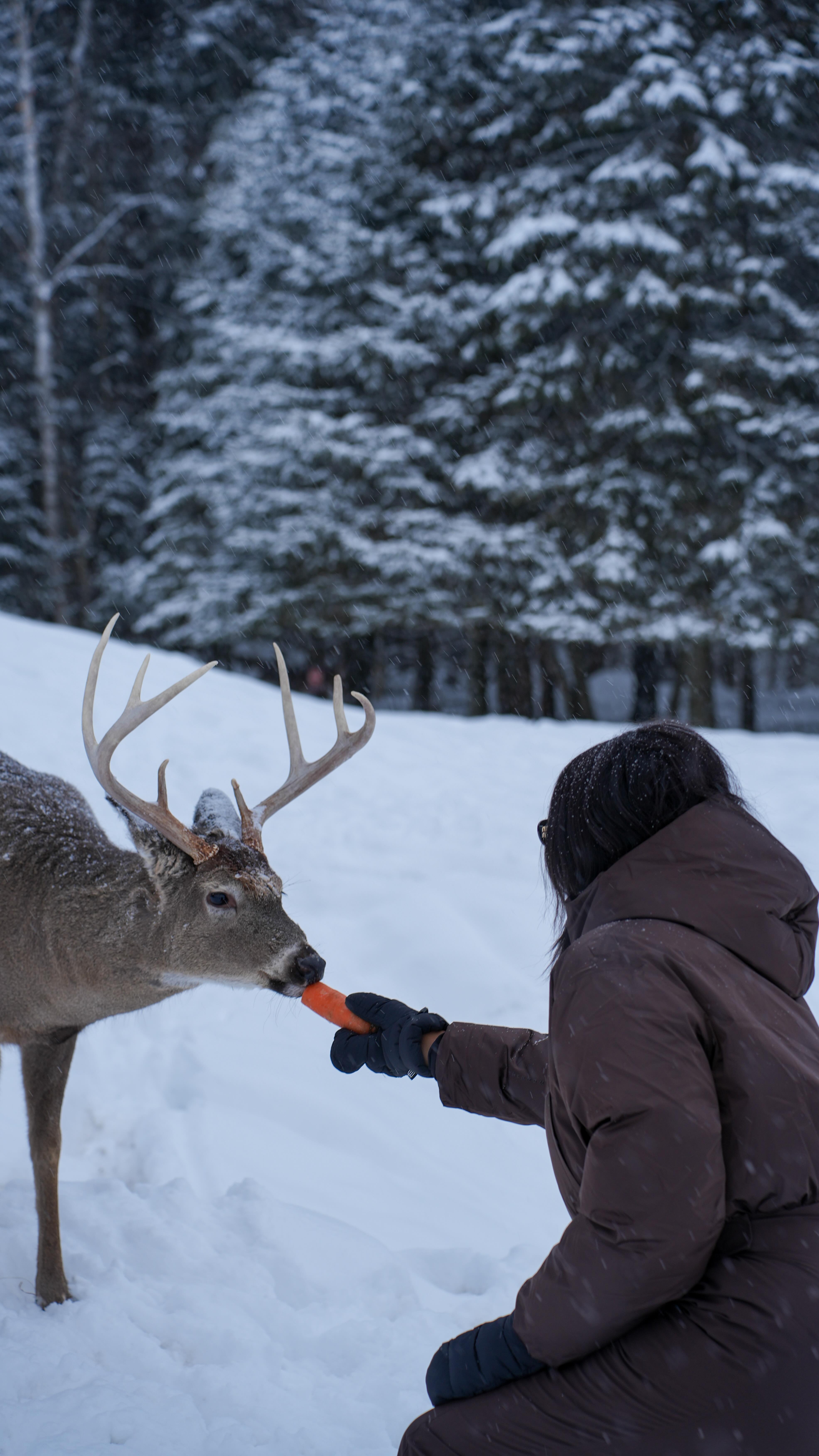 Audy | Travel Content Creator, Omega Park