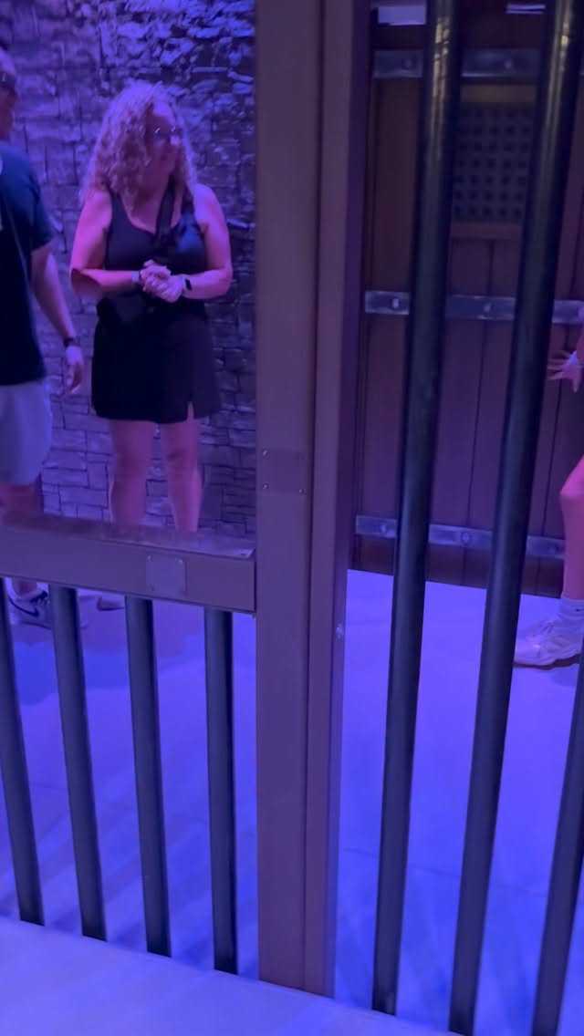 Aracelys Sanchez, Disney Springs