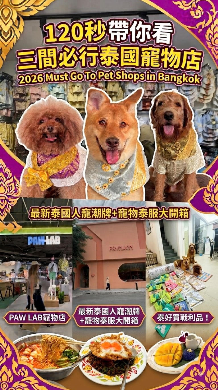 🐾 𝗛𝗦𝗠𝗠 𝗢𝗙𝗙𝗜𝗖𝗜𝗔𝗟｜寵物旅遊｜寵物友善景點, Chatuchak Weekend Market