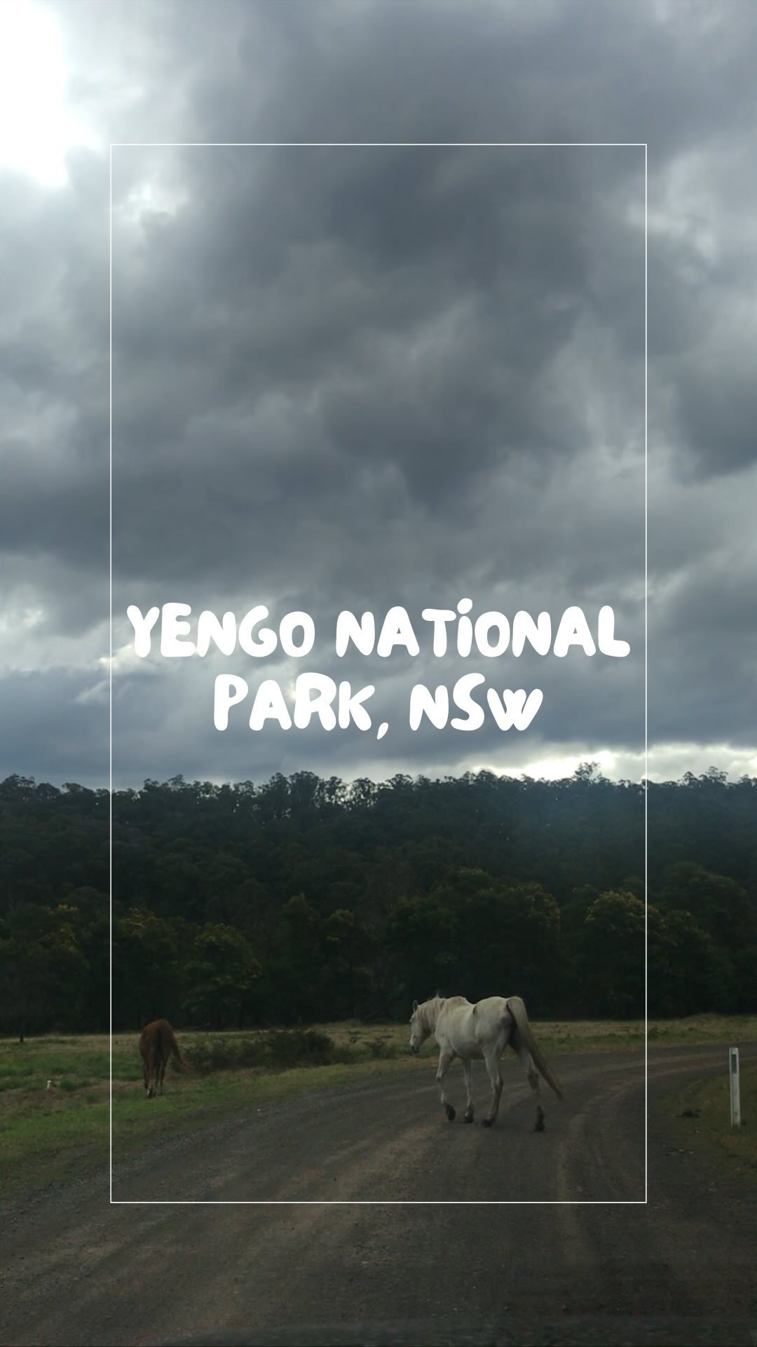 SOOP - Food, travel and more !, Yengo National Park