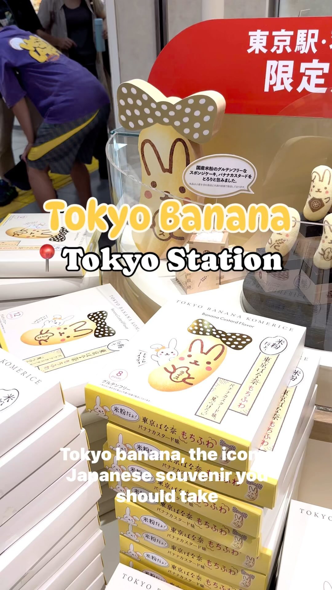 Nancy | Japan 🇯🇵 travel + food, Narita International Airport