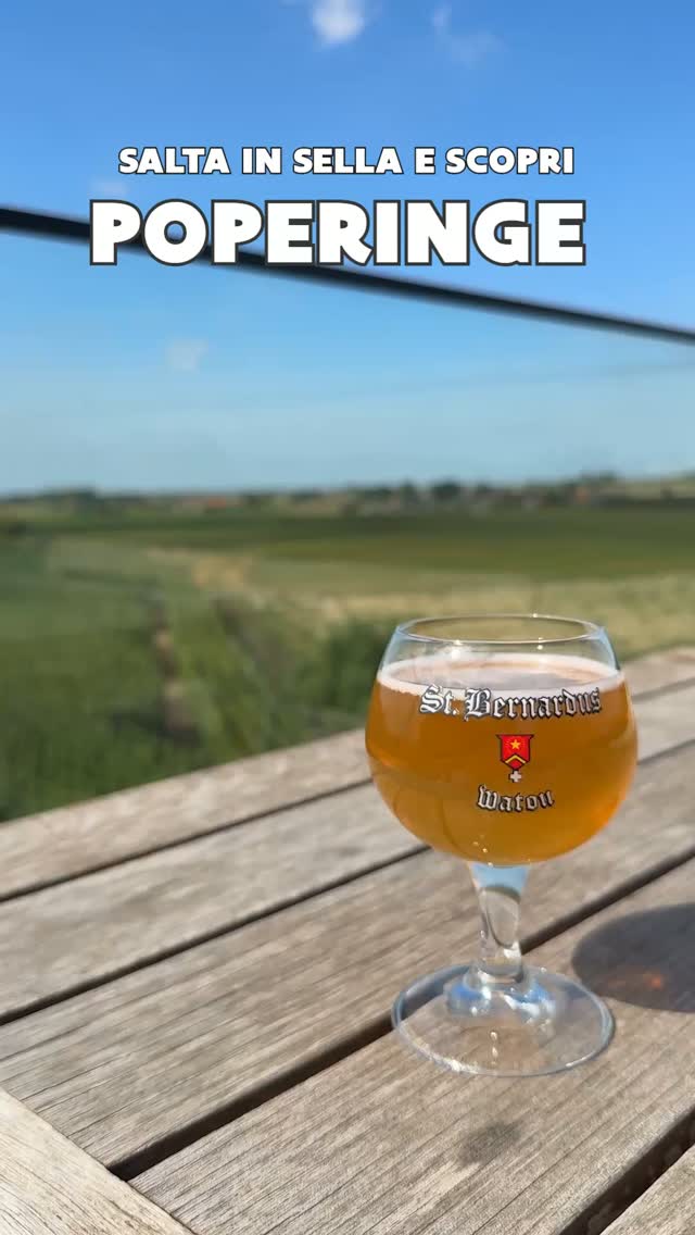 VISITFLANDERS - Le Fiandre, Hopmuseum Poperinge