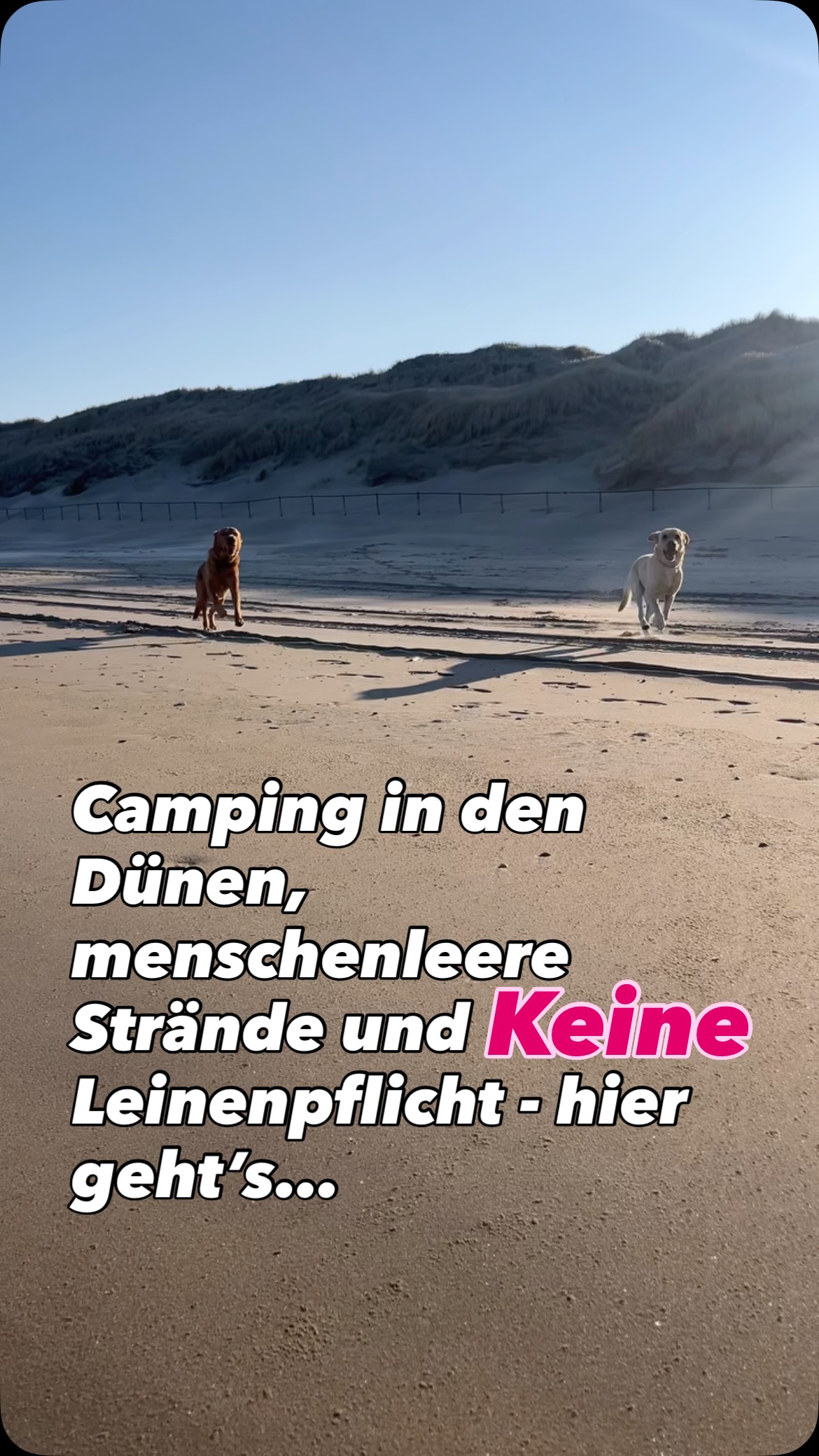 Julia | Camping, Reisen & Alltag mit Hund, Egmond aan Zee