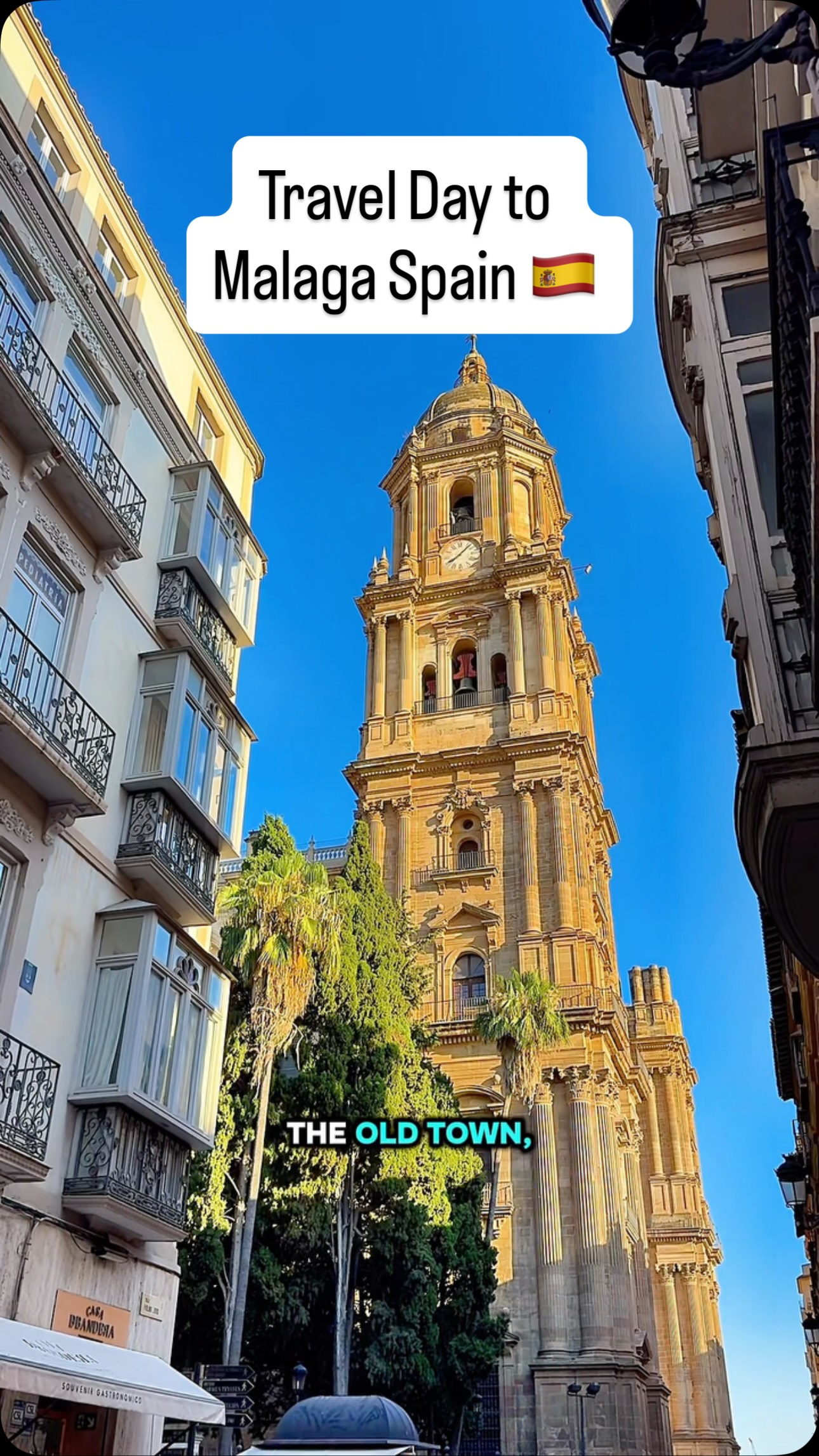 Nino Travels ✈️ 🌎, Catedral de la Encarnación de Málaga