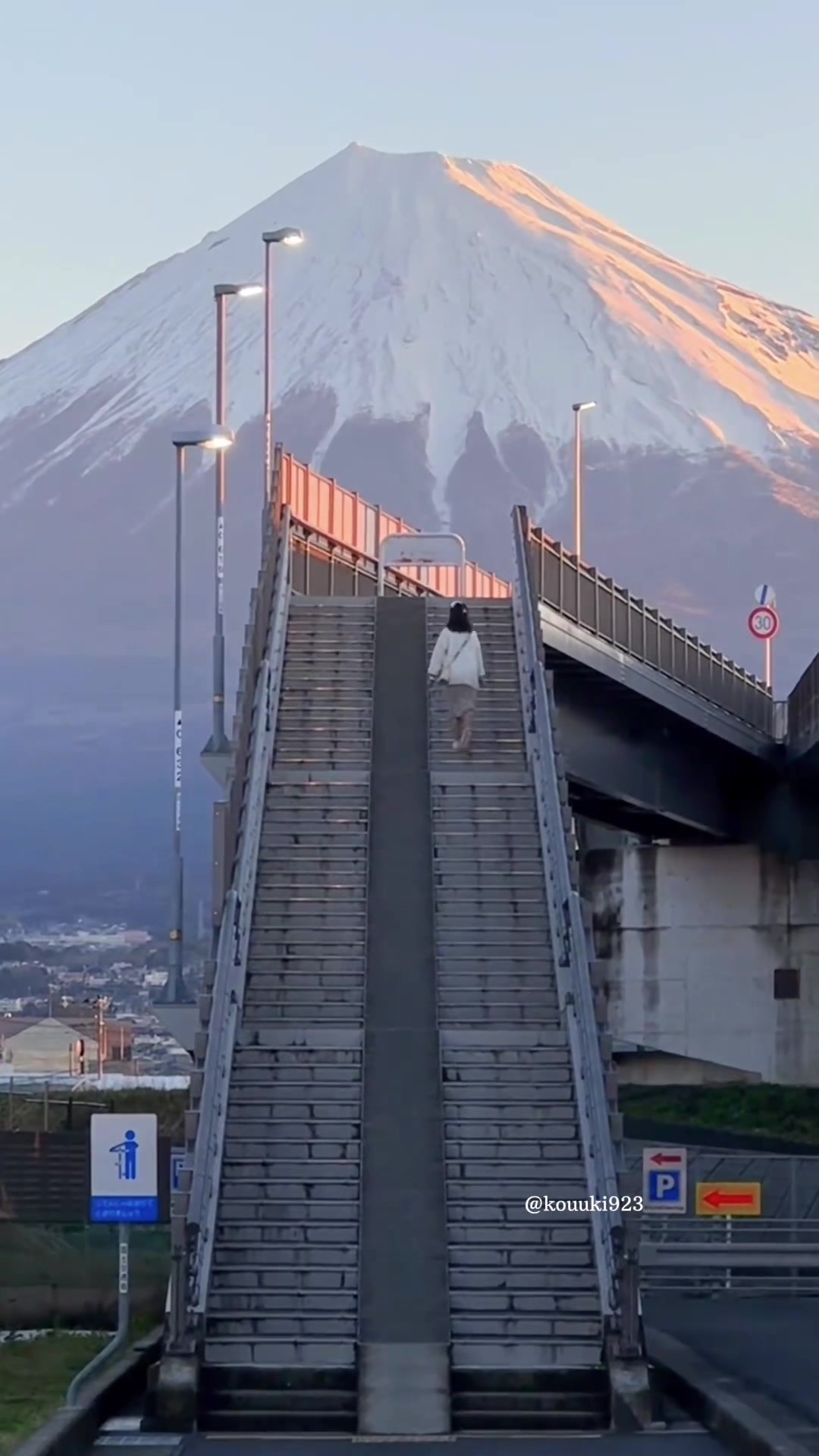 Taste of Japan 🇯🇵, Mount Fuji