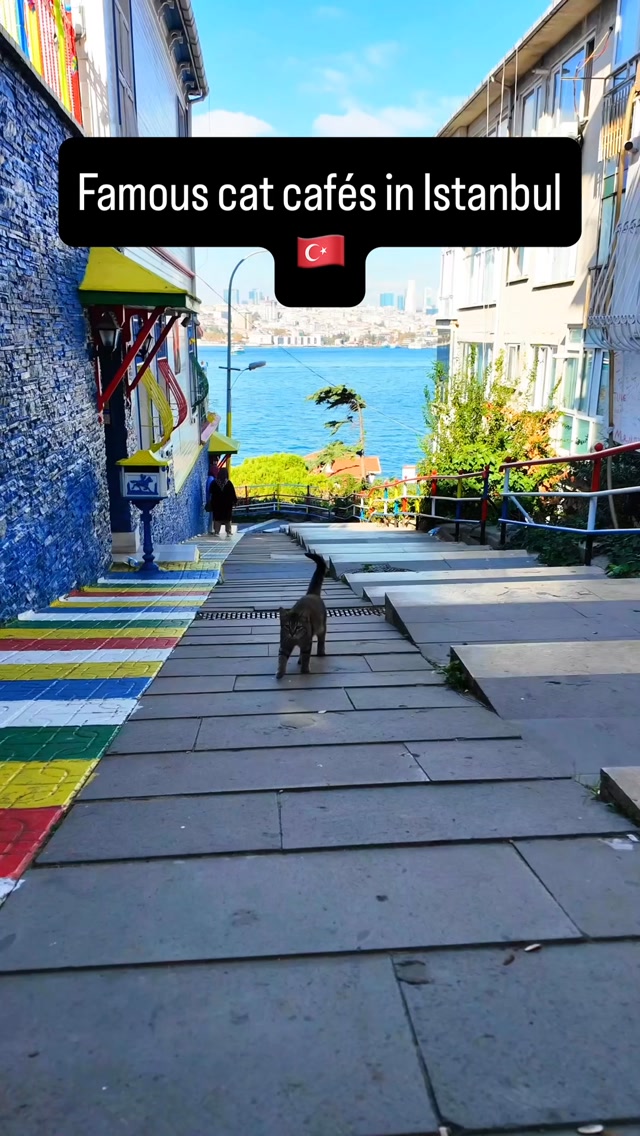 MNOAWA, Galata Tower