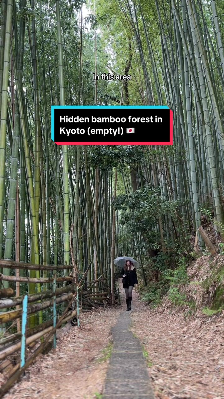 Hollie | Travel & Lifestyle 🌻, Fushimi Inari Taisha