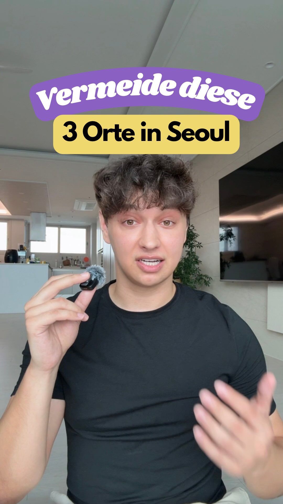 Seoul_lingo | Südkorea Guide, Tipps & Insider, N Seoul Tower