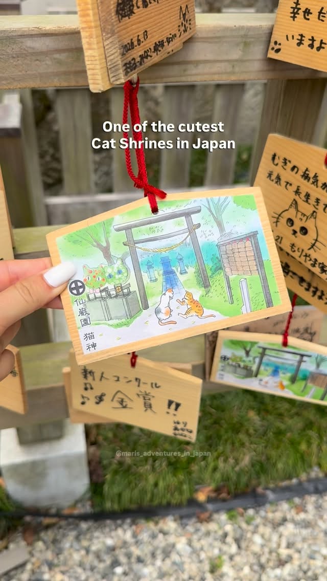 Mari 🇮🇹 • Japan Travel, Sakurajima