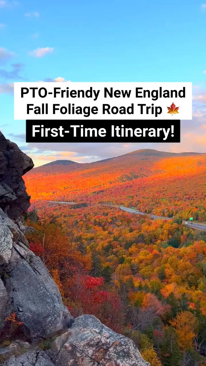 Facebook, White Mountains