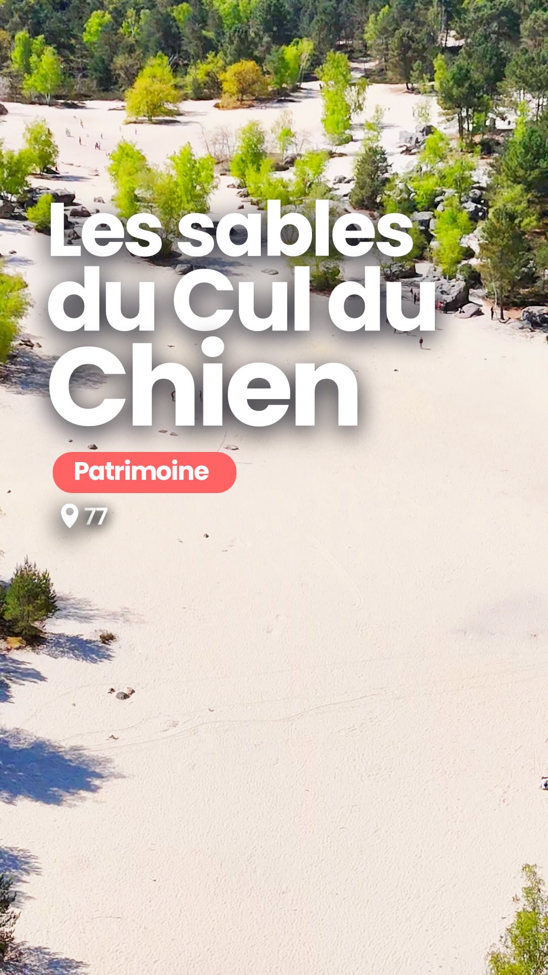 Région Île-de-France, Fontainebleau