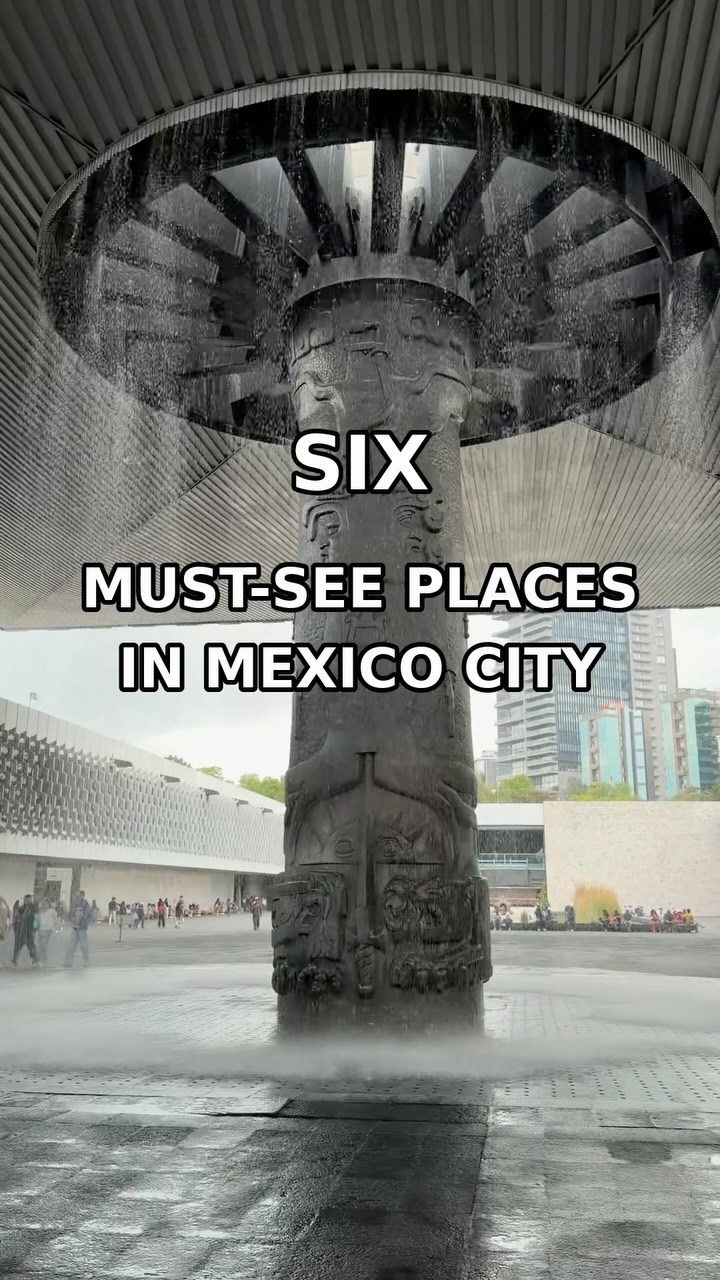 Mauricio Vite, Zócalo
