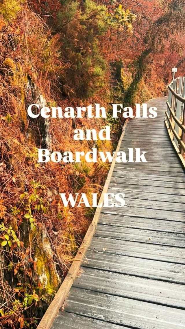 Family Adventures - Food - Travel - Making Memories, Caws Cenarth Cheese Shop