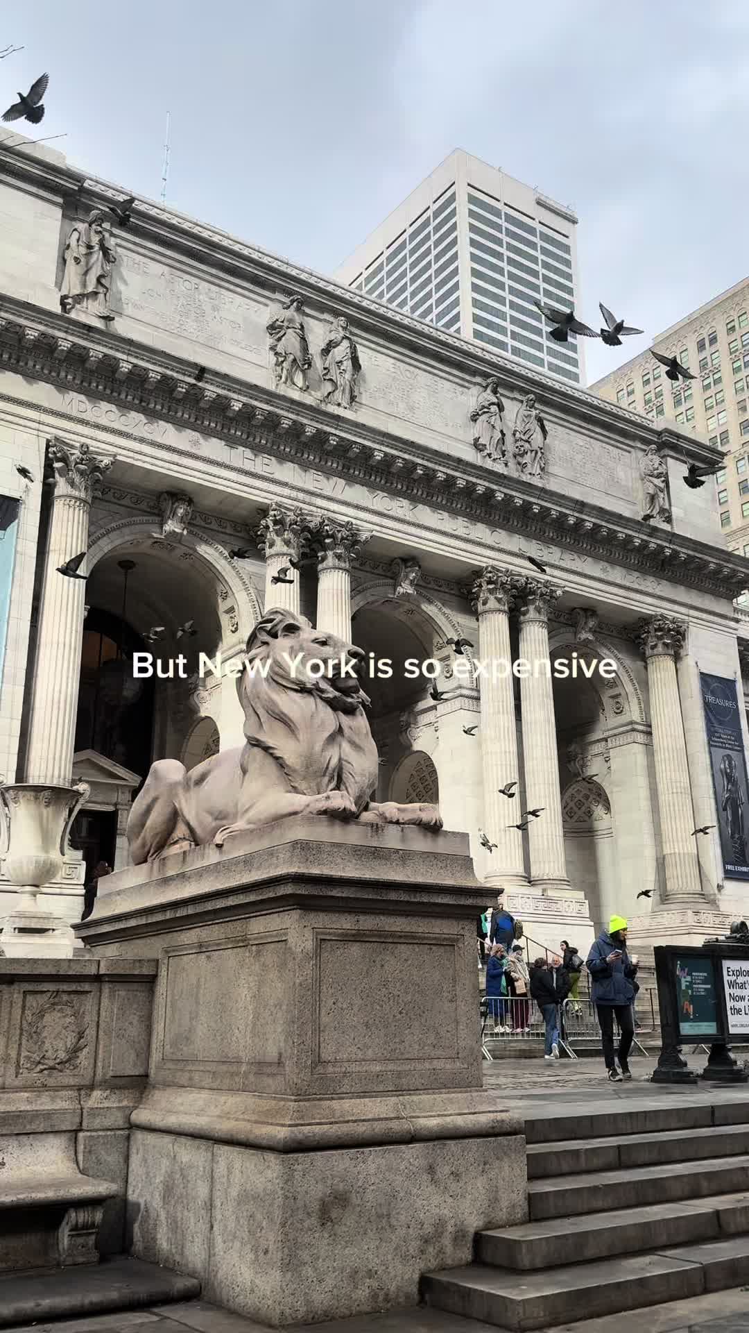 Rocio, New York Public Library - Stephen A. Schwarzman Building