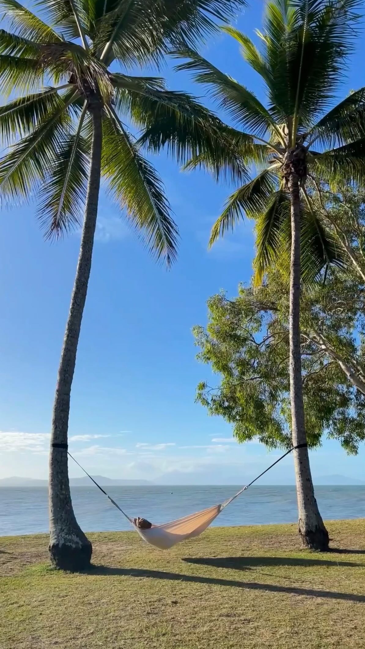 Alex Baxter, Cairns