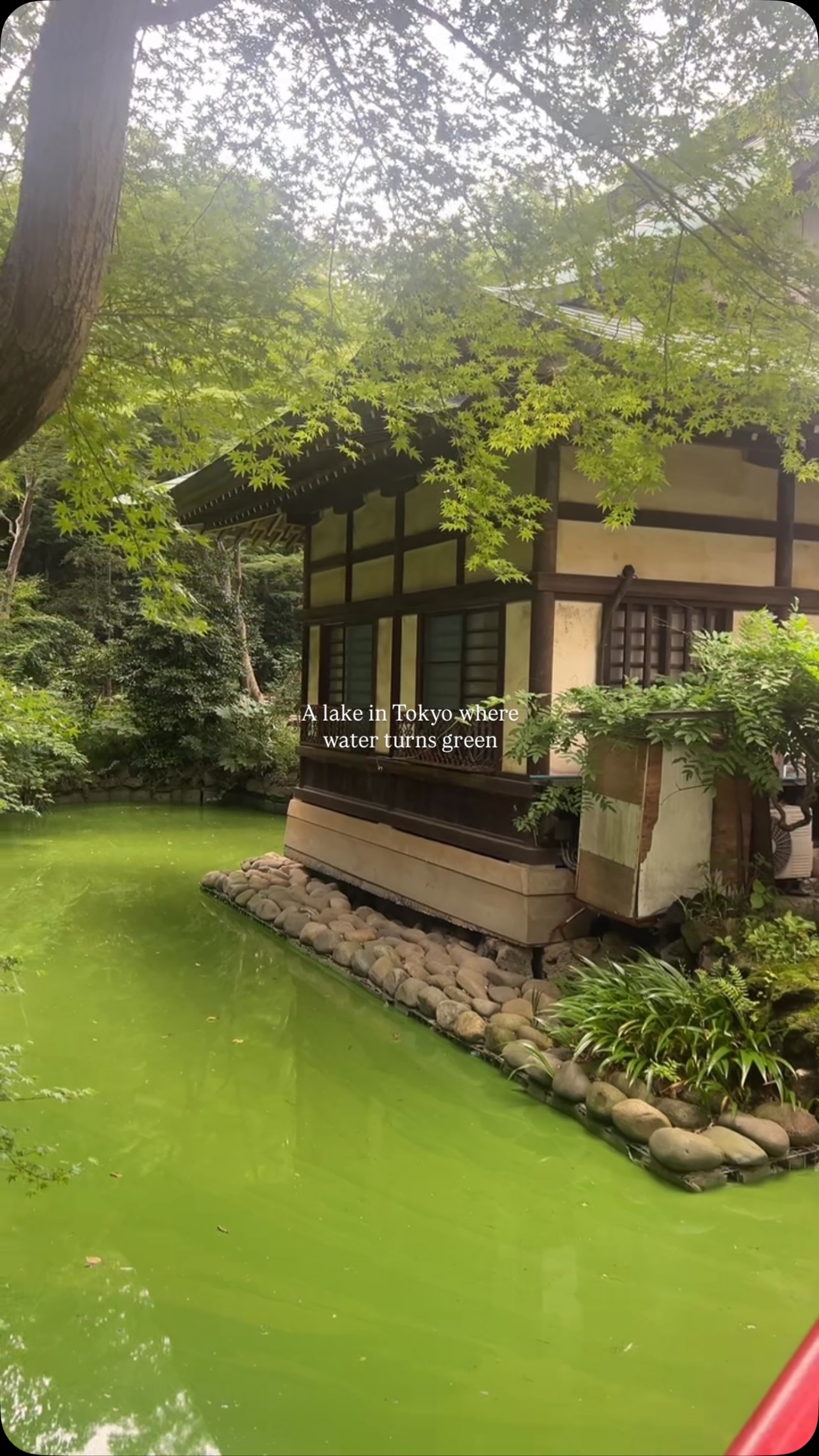 Huma Japan Edit, Ghibli Museum