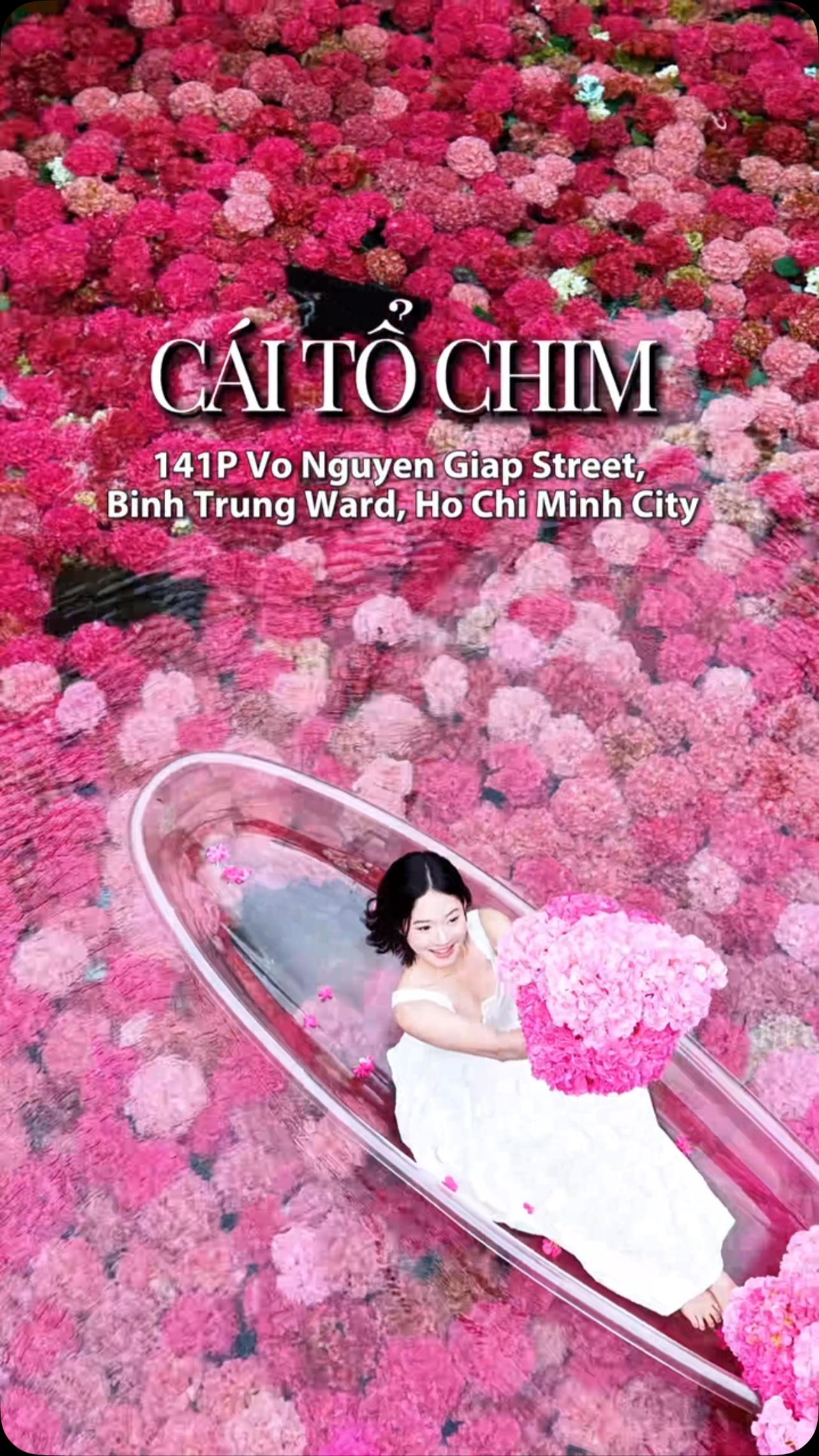 Cái Tổ Chim, Cái Tổ Chim