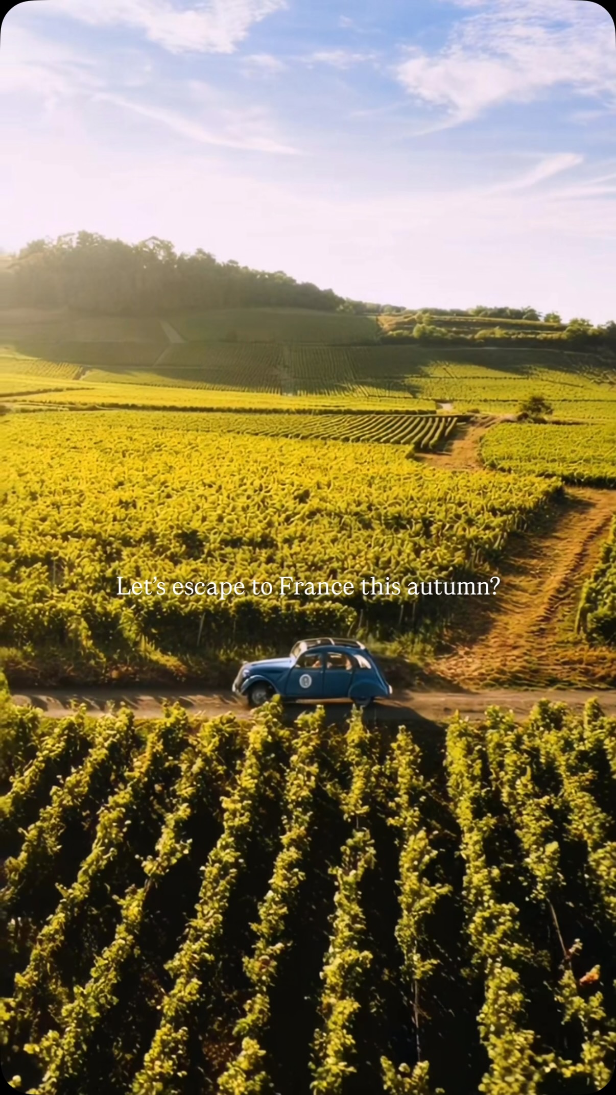 TravelAsk.com, Les Sources de Vougeot