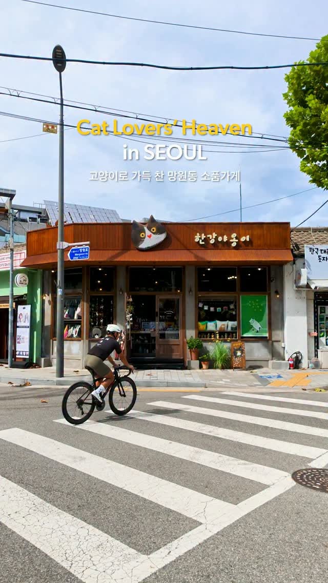 eenomsiki, Mangwon Hangang Park