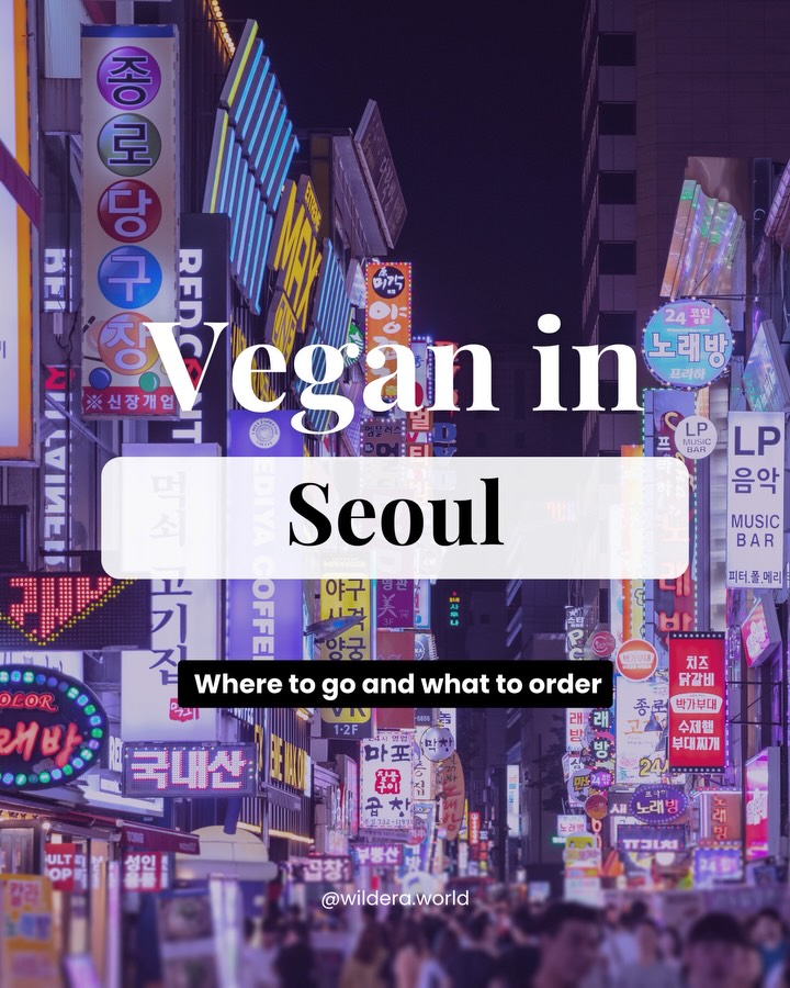 Wildera ✦ Vegan Travels, Vegan Insa